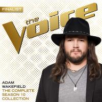 The Complete Season 10 Collection (The Voice Performance) cover