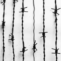 lang-lebe-der-tod cover