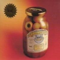 The Everlasting Blink cover