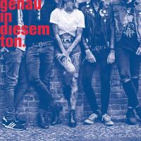 Genau in diesem Ton cover