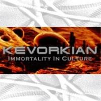 Immortality In Culture cover