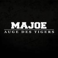 auge-des-tigers cover