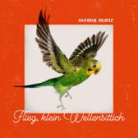 Autres Chansons cover