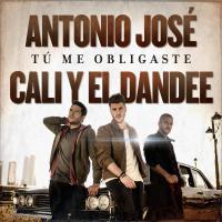 Tu Me Obligaste cover