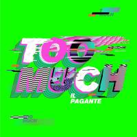 Too Much cover