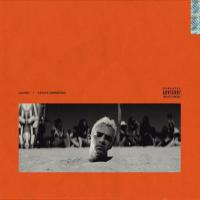 Estate Dimmerda cover