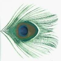 Apple Venus Volume 1 cover