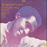 That's The Way Love Is cover