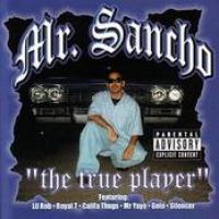 The True Player cover