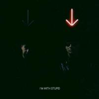 I'm With Stupid [Single] cover