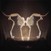 Goodnight Alchemy cover