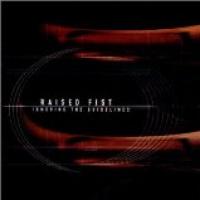 Ignoring The Guidelines cover