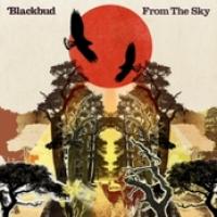From The Sky cover