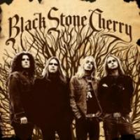 Black Stone Cherry cover