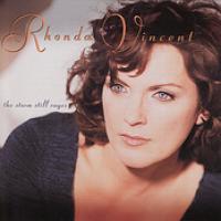 The Storm Still Rages cover