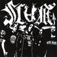 Gospels For The Sick cover