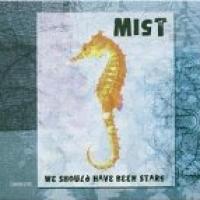 We Should Have Been Stars cover