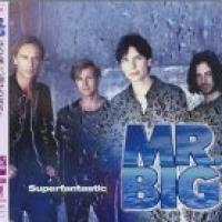 Superfantastic cover