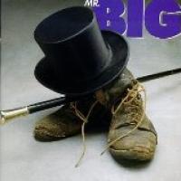 Mr. Big cover