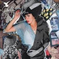 The Shine Of Dried Electric Leaves cover