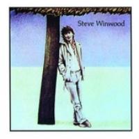 Steve Winwood cover