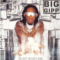 Mutant Mindflame cover