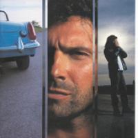 Preguntas Equivocadas cover