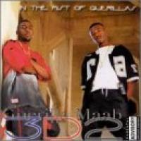 In The Mist Of Guerillas cover