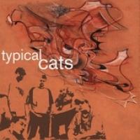 Typical Cats cover