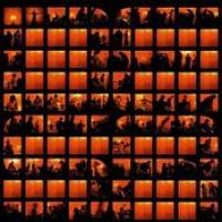 Year In A Red Room cover