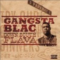 Down South Flava cover