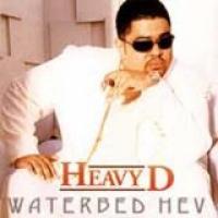 Waterbed Hev cover