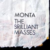 The Brilliant Masses cover