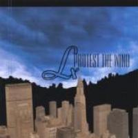 Protest The Wind cover