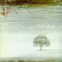 Wind And Wuthering cover