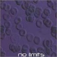No Limits cover