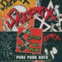 Pure Punk Rock cover