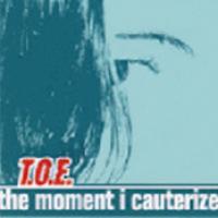 The Moment I Cauterize cover