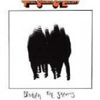 Beneath The Shadows cover