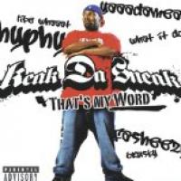 That's My Word cover