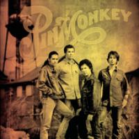 Pinmonkey cover