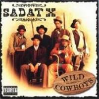 Wild Cowboys cover
