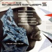 Never Say Never cover