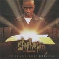 The Greatest Story Never Told cover