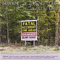 Fatal Accident Zone cover