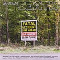 Fatal Accident Zone cover