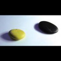 La Guerra Delle Formiche cover