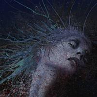 A Fragile Hope cover