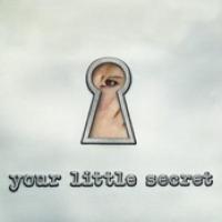 Your Little Secret cover