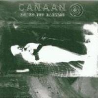 Brand New Babylon cover